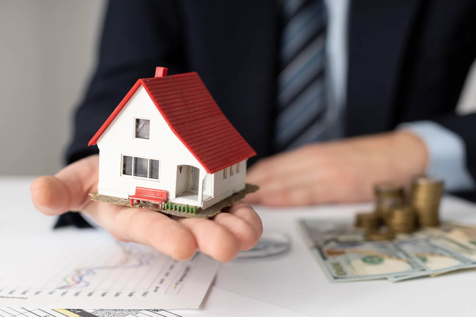 Land Property Tax